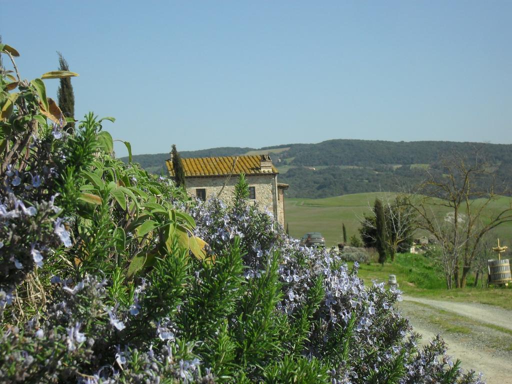 Agriturismo Podere Campaini Βολτέρρα Εξωτερικό φωτογραφία