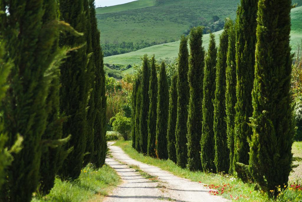 Agriturismo Podere Campaini Βολτέρρα Εξωτερικό φωτογραφία